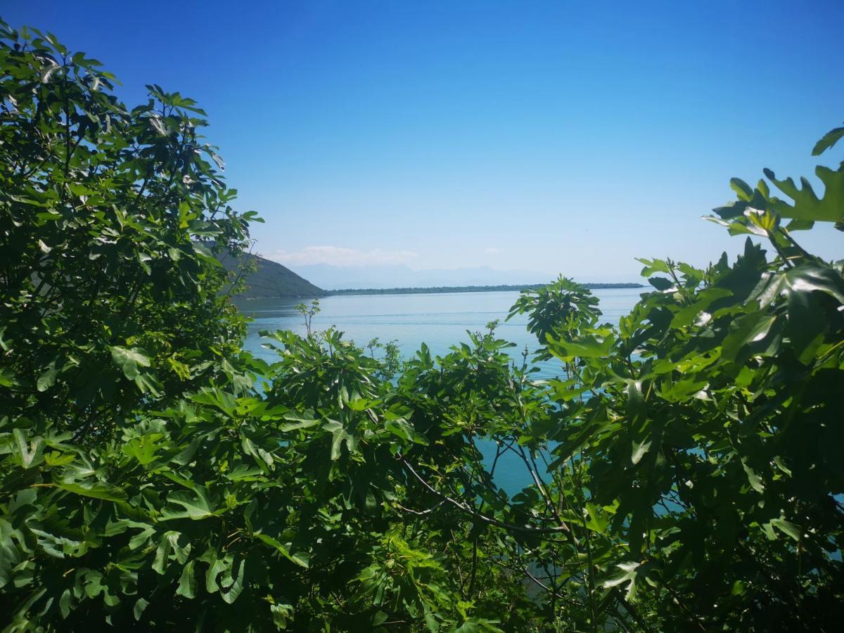 Apartment Dapcevic Skadar Lake Vranjina Exterior foto