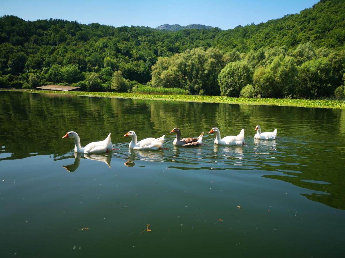 Apartment Dapcevic Skadar Lake Vranjina Exterior foto